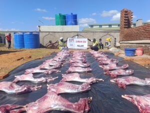 Qurbani 2026 3 Qurbani 2026 3 - Malawi Relief Fund UK
