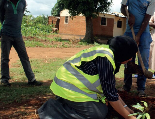 Tree Planting scaled Activity Report 2022 - Malawi Relief Fund UK