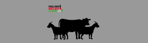 2022 Qurbani Malawi Relief 2025-Qurbani-Malawi-Relief - Malawi Relief Fund UK